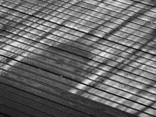 0416_BotaniSW