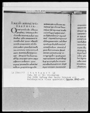 Bibliorum sacrorum pars, libri prophetarum — Initiale O(nus quodvidit), Folio 249verso