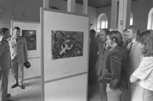 Museum am Friedrichsplatz (Naturkundemuseum). Sonderausstellung "Leben in der Arktis"