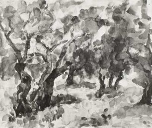Ölbaum in Spanien