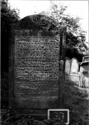 Grabstein 37 (Index: 100107077) Material: Sandstein Zustand: verwittert Maße HxBxT: 126x66x15 cm Beschreibung: Stele, eingezogener Rundbogenabschluß Symbolik: achtblättrige Blüte, kleine Blüten und Blümchen: Grabstein 37