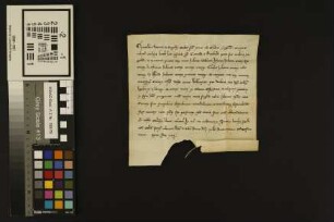Mainz (Stadt): Capitulum Eccl. St. Marie ad Gradus Mog. Conrado et Drudlinde uxori sue civibus in Mog. concedunt Curiam suam zum Walhusere pro ann...