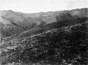 Hang im Niles Canyon : Berglandschaft