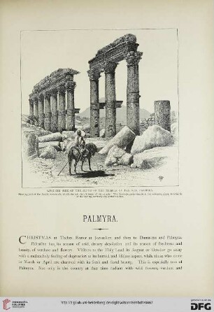 Palmyra