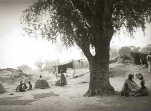 Adumre bei Garua, Nord-Kamerun. Indigofärberei
