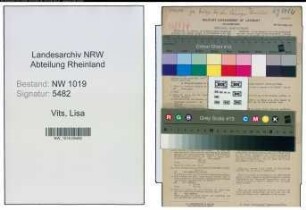 Entnazifizierung Lisa Vits , geb. 19.06.1889 ()