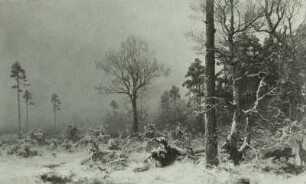 Winterwald