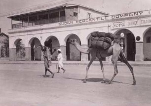 Kamel als Lasttier, Port Sudan : Sudan, Port Sudan (Bur Sudan). Straße mit Kamel als Lasttier, im Hintergrund Geschäftshaus, 1936