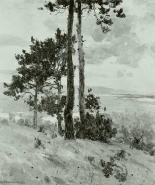 Landschaft