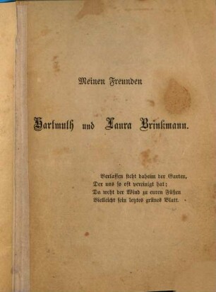 Ein grünes Blatt : Zwei Novellen von Theodor Storm