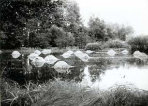 Hochwasser im Spreewald : Landschaft - Spreewald. Ort: Błóta / Spreewald. Hochwasser im Spreewald
