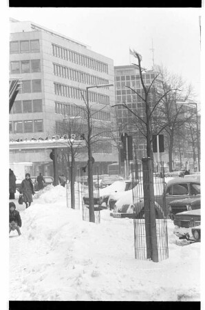 Kleinbildnegative: Bäume, Bayreuther Straße, 1979