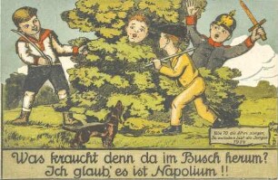 Was kraucht denn da im Busch herum? Ich glaub', es ist Napolium!!