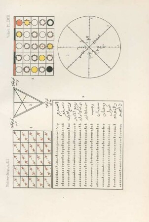 Pl. XXXIII
