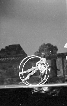 Wintergarten: Affen fahren Rhönrad (Johnny Comp.)