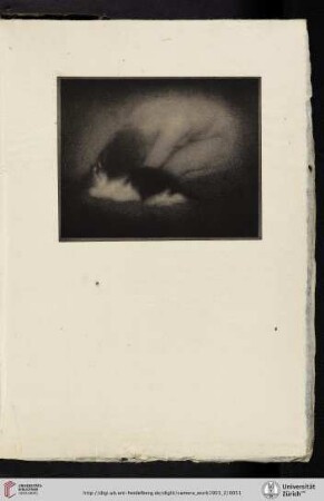 [Eduard J. [Jean] Steichen, X. Nude with Cat, halftone reproduction from original gum print]