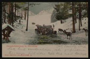 Ansichtskarte von Hofmannsthal an seinen Vater aus Mürzzuschlag mit "Hirschfütterung in Mürzsteg"
