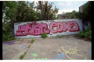 geiSt | eDNa