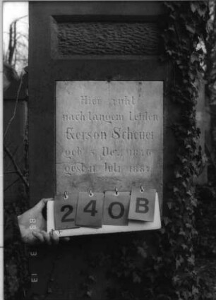 Grabstein 240 (Index: 100093497) Maße HxBxT: 222x69x33 cm Symbolik: Verzierungen: Grabstein 240B