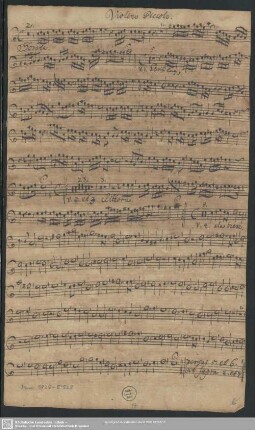Violino Piccolo.