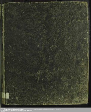 1805: Der europäische Aufseher