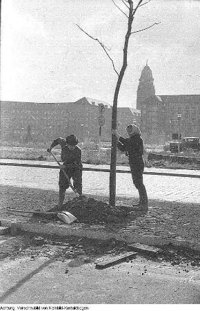Dresden. St.-Petersburger-Strasse, Studenten pflanzen Bäume an der Leningrader Strasse (vorher Christianstrasse, heute St. Petersburger Strasse), 1968