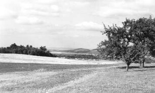 Rosenbach-Herwigsdorf. Blick vom Windmühlenberg