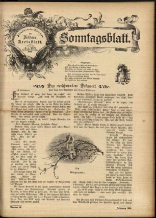 Ausgabe vom Sonntag, den 03. Juni 1906.