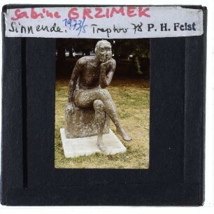 Grzimek, Sinnende