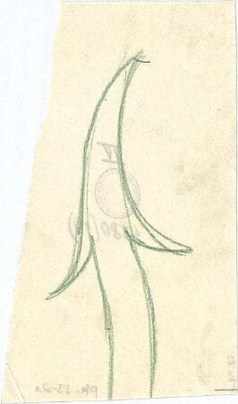 Pfann, Paul; Dingolfing; Kriegerdenkmal - Zaun (Detail)