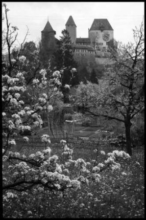 Burgdorf: Schloss mit Blütenbaum im Vordergrund