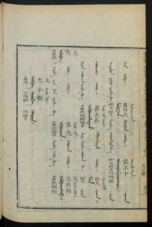 Amba ajige hacin = 大小類
