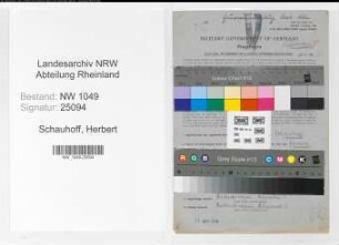 Entnazifizierung Herbert Schauhoff , geb. 04.05.1903 (Abteilungsleiter)