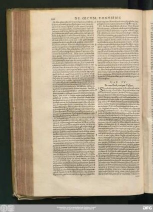 Cap. IV. De uno Ovili, unóque Pastore.