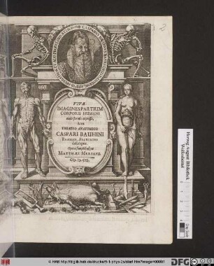 Vivae Imagines Partium Corporis Humani : aeneis formis expressae, & ex Theatro Anatomico Caspari Bauhini ... desumptae