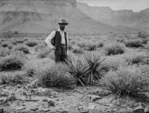 Agaven : Ein Mann, möglicherweise Fritz Jäger, neben Agaven und Büschen am Grand Canyon
