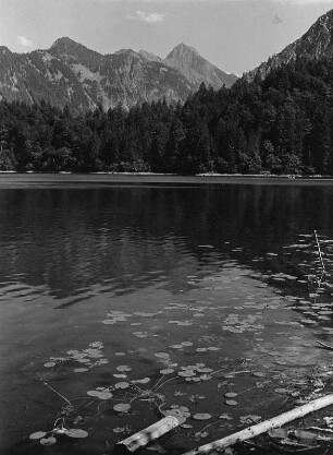 Gebirgssee (vielleicht in den Allgäuer Alpen)