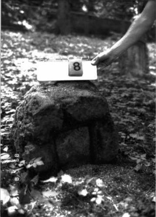 Grabstein 8 (Index: 100105634) Material: Muschelkalk Zustand: Schriftplatte fehlt, Stein eingesunken Maße HxBxT: 46x53x50 cm Beschreibung: Stele, rustica, Korbbogenabschluß, rechteckiges Schriftfeld: Grabstein 8