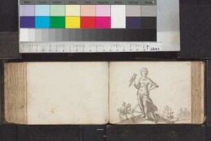 Illustration (Grisaille): Falknerin mit Anker