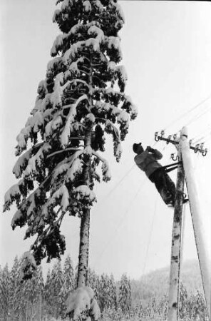 St. Blasien - Todtmoos: Straße; Bautrupp beseitigt Schneeschäden an Telefonleitungen; Arbeiter auf Telefonmast