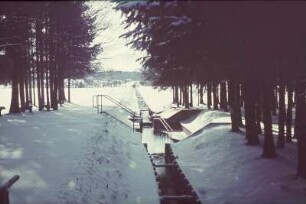 Winterlandschaft mit Waldstück und Kanal mit Wartungszugang (?)