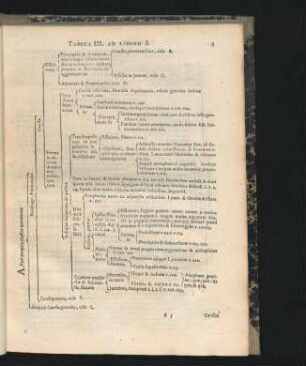 Tabula III.
