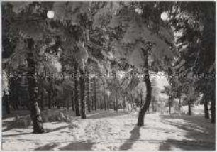 Winterlandschaft