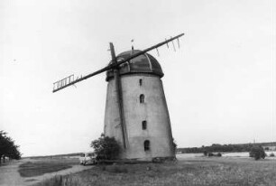 Falkenhain-Voigtshain. Turmholländer