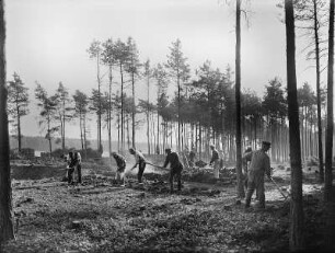 Thiendorf, Autobahnbau, Waldgelände mit Arbeitern