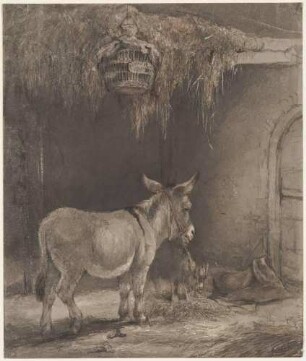 Esel und Ziege im Stall