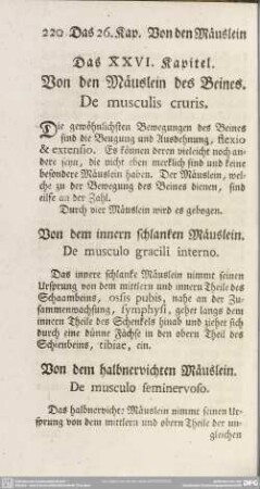 Das XXVI. Kapitel. Von den Mäuslein des Beines. De musculis cruris