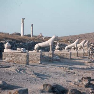 Delos. Naxische Löwen, 7. Jh. v. Chr., am Heiligen See. K1