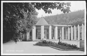 Bad Elster. Salzquelle