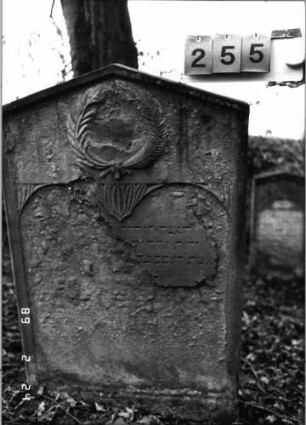 Grabstein 255 (Index: 99752177) Material: Sandstein Zustand: Schrift abgeblätt. m. fast völl. Textverl. Maße HxBxT: 125x78x11 cm Beschreibung: Stele, giebelart. Abschl. , Schriftfeld eingetieft mit zweibogigem Abschluß Symbolik: Kranz aus Palmzweigen, Blätter: Grabstein 255